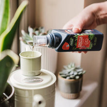 Load image into Gallery viewer, Cacti & Succulent Feed Concentrate 200ML