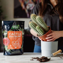 Load image into Gallery viewer, Cacti & Succulent Potting Mix 4L