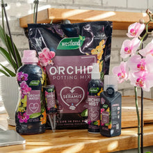 Load image into Gallery viewer, Orchid Droplet feeder 40ML