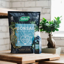 Load image into Gallery viewer, Bonsai Potting Mix 4l