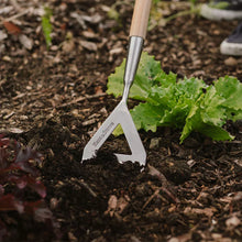 Load image into Gallery viewer, Kent & Stowe Garden Life Dutch Hoe