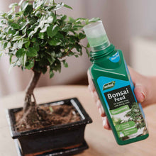 Load image into Gallery viewer, Bonsai Feed Concentrate 200ML