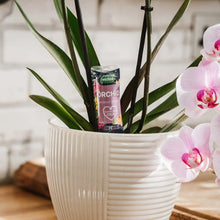 Load image into Gallery viewer, Orchid Droplet feeder 40ML