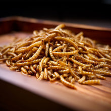 Load image into Gallery viewer, Peckish Mealworms