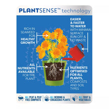 Load image into Gallery viewer, Boost All Purpose Liquid Plant Food 1L