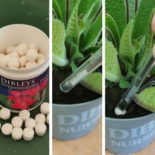 Load image into Gallery viewer, Streptocarpus Plant Food 78g