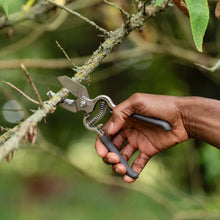 Load image into Gallery viewer, Kent & Stowe Anvil Secateurs