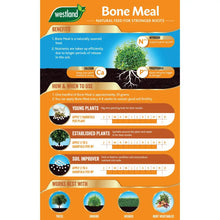 Load image into Gallery viewer, Bone Meal