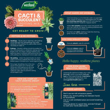 Load image into Gallery viewer, Cacti & Succulent Potting Mix 4L
