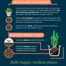 Load image into Gallery viewer, Cacti & Succulent Potting Mix 4L