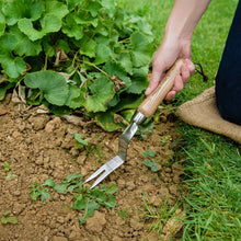 Load image into Gallery viewer, Kent & Stowe Hand Daisy Grubber - Stainless Steel