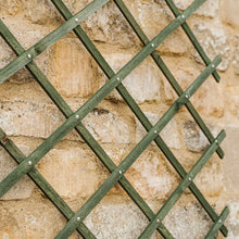 Load image into Gallery viewer, Rivet Trellis Green