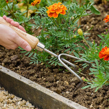 Load image into Gallery viewer, Kent & Stowe Hand 3 Prong Cultivator - Stainless Steel