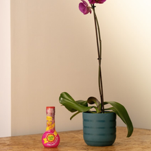 Load image into Gallery viewer, Baby Bio Orchid Feed