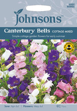 Load image into Gallery viewer, Canterbury Bells Cottage Mixed
