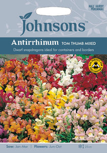 Antirrhinum Tom Thumb Mixed