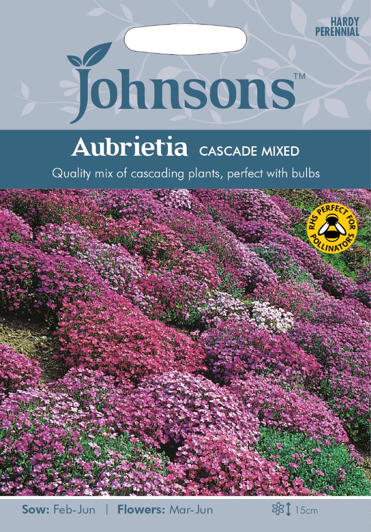 Aubrieta Cascade Mixed