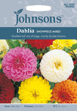 Load image into Gallery viewer, Dahlia Showpeice Mixed
