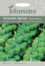 Load image into Gallery viewer, Brussels Sprout Evesham Special
