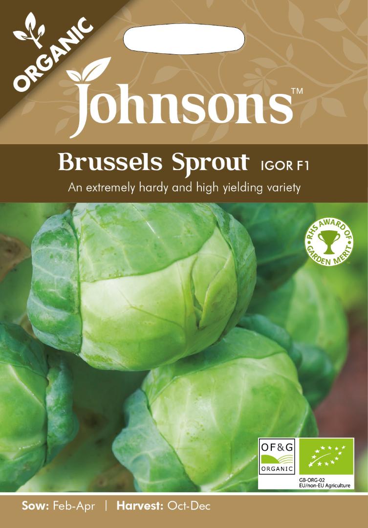 Brussels Sprout Igot F1 (Organic)
