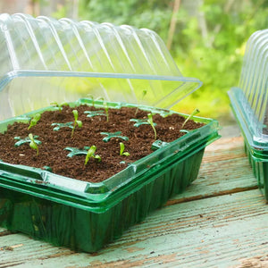 Visiroot Twin Propagator Set