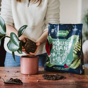 Houseplant Peat Free Potting Mix 8L