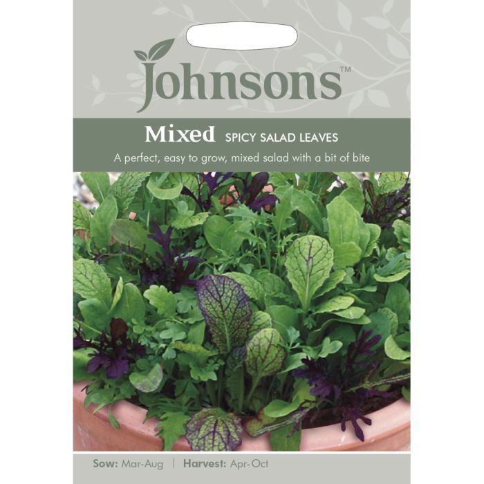 Mixed Spicy Salad Leaves
