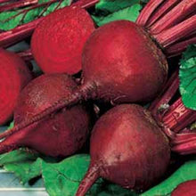 Load image into Gallery viewer, Org Beetroot Detroit 2
