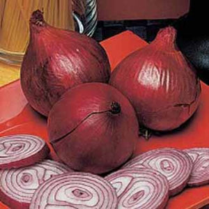 Onion Red Baron