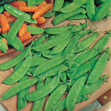 Load image into Gallery viewer, Pea (Mangetout) Norli
