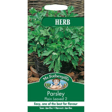 Load image into Gallery viewer, Parsley Plain Leaved 2
