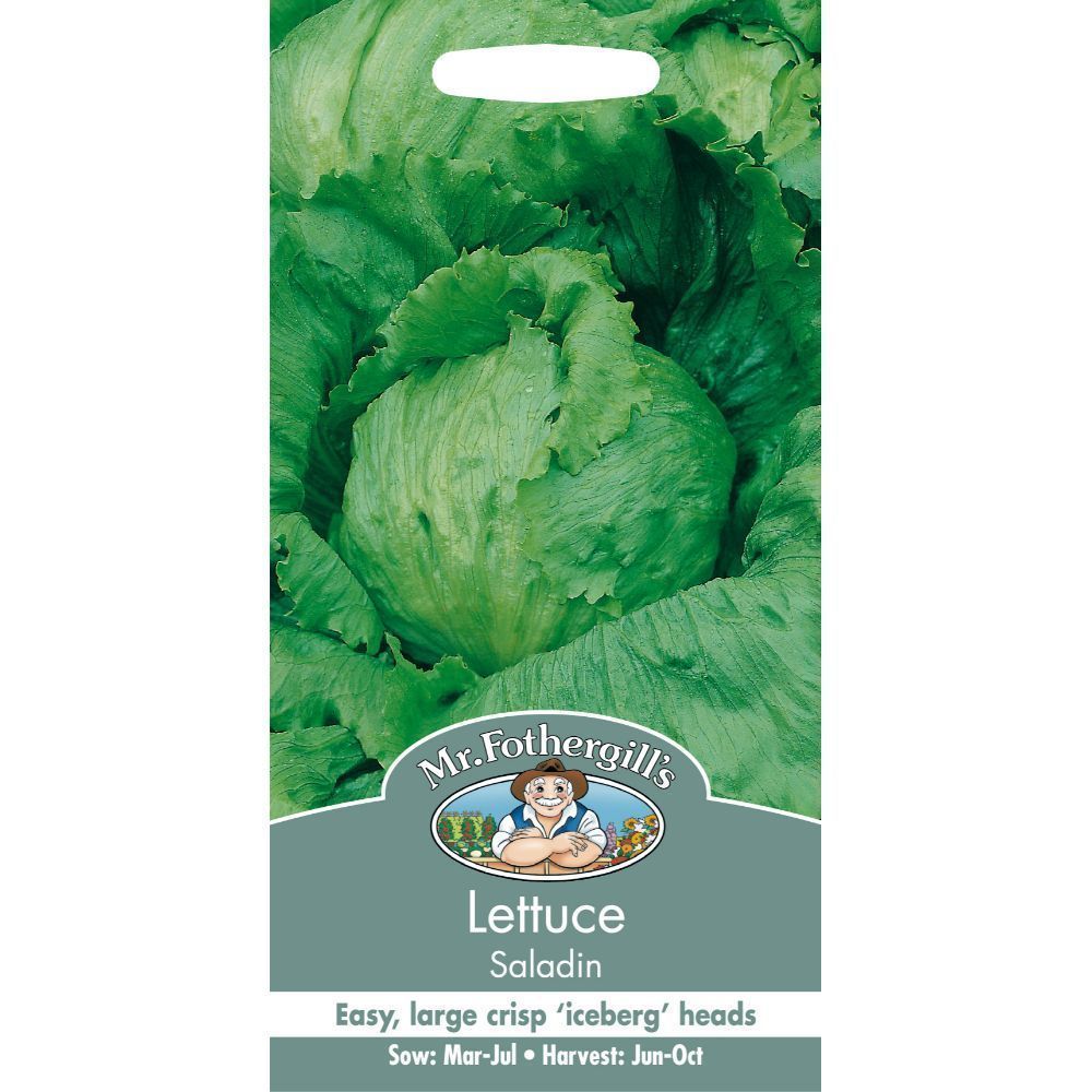 Lettuce Saladin