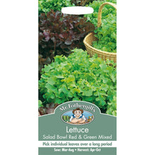 Load image into Gallery viewer, Lettuce Salad Bowl Red &amp; Green Mixed

