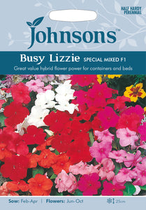 Busy Lizzie Special Mixed