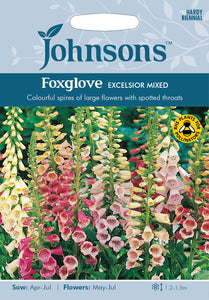 Foxglove Excelsior Mixed