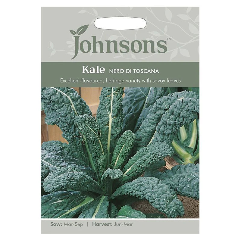 Kale Nero Di Toscana