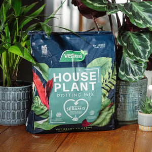 Houseplant Peat Free Potting Mix 8L