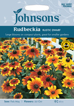 Load image into Gallery viewer, Rudbeckia Rustic Dwarf
