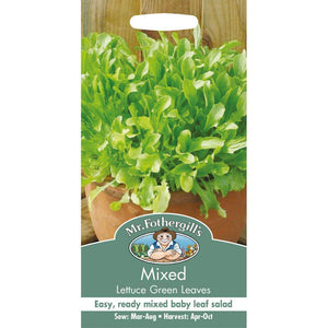 Mixed Lettuce Green Leaves