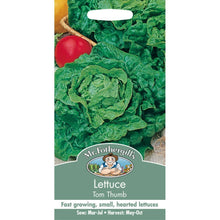 Load image into Gallery viewer, Lettuce Tom Thumb
