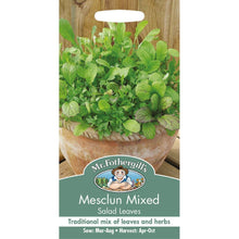 Load image into Gallery viewer, Mixed Mesclun
