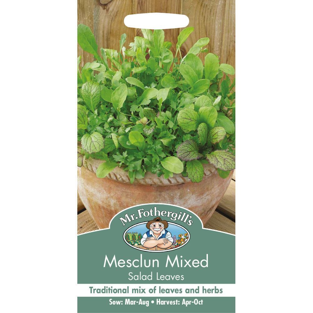 Mixed Mesclun