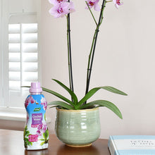 Load image into Gallery viewer, Orchid Water 720ML
