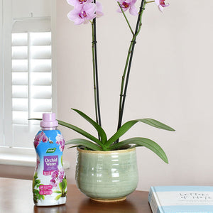 Orchid Water 720ML