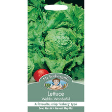 Load image into Gallery viewer, Lettuce Webbs Wonderful
