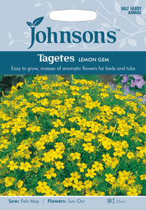 Tagetes Lemon Gem