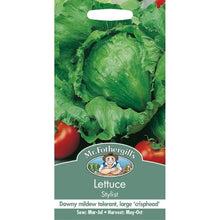 Load image into Gallery viewer, Lettuce Stylist
