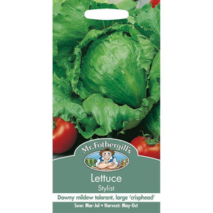 Lettuce Stylist