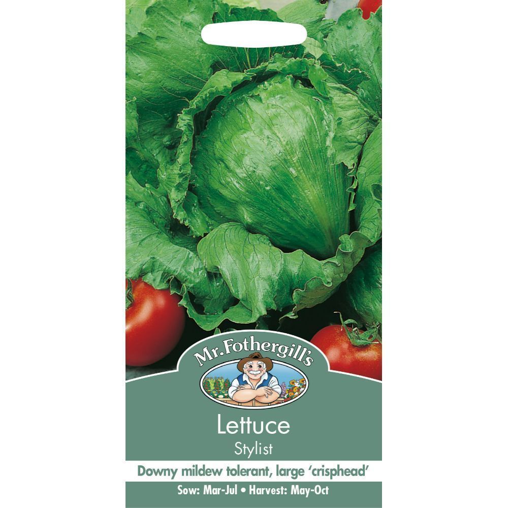 Lettuce Stylist