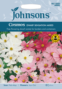 Cosmos Dwarf Sensation Mixed